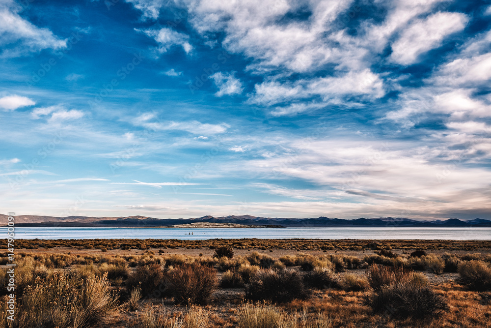 Fototapeta premium Blue skies over Mono Lake