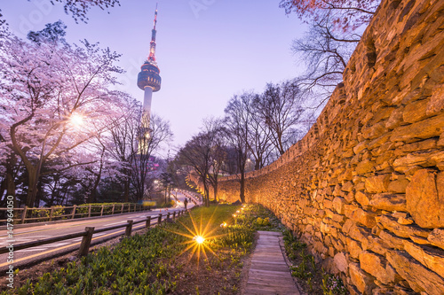 Photography seoul tower in seoul city at night view in spring with cherry blossom tree, south korea