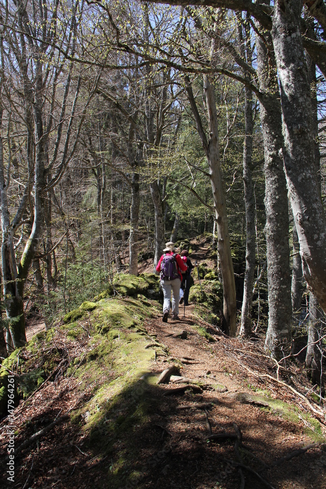 rando en Auvergne