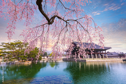 Wallpaper Mural Gyeongbokgung palace with cherry blossom tree in spring time in seoul city of korea, south korea. Torontodigital.ca