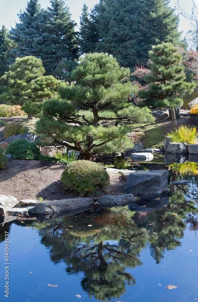 Naklejka premium Pine Trees Reflected in Blue Water