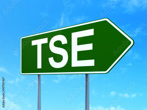 Stock market indexes concept: TSE on road sign background