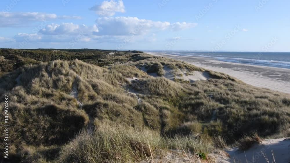 Les dunes du Marquenterre sur la côte picarde Les dunes du Marquenterre sur la côte picarde