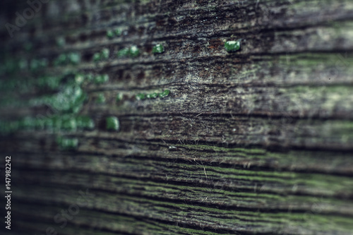 Wooden boards with the remains of green paint. Wood texture.