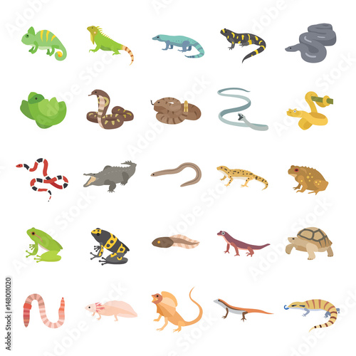 25 Reptiles & Amphibians color vector icons © naripuru