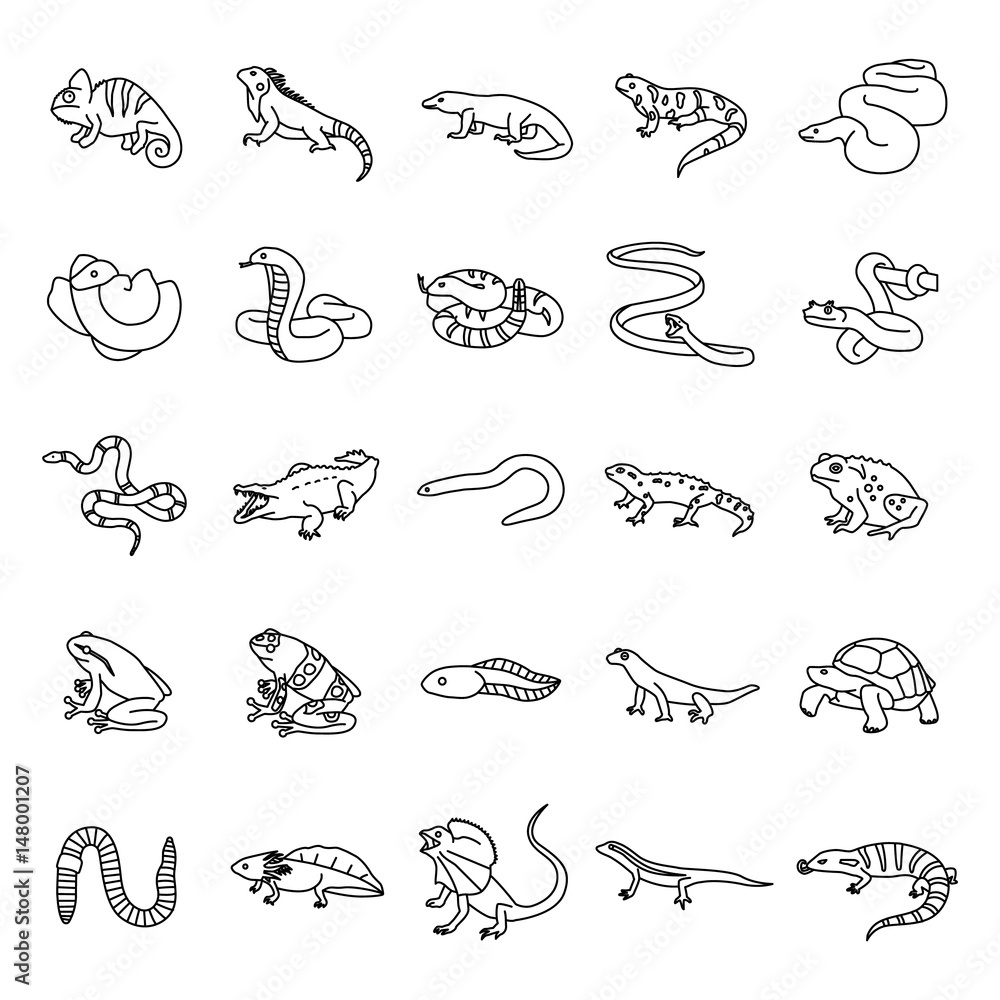 25 Reptiles & Amphibians outlines vector icons