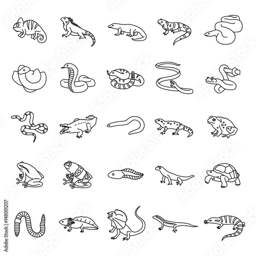 25 Reptiles & Amphibians outlines vector icons
