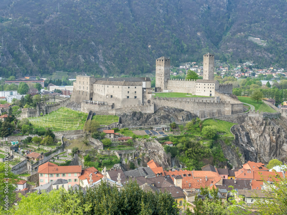 Castelgrande from other castle