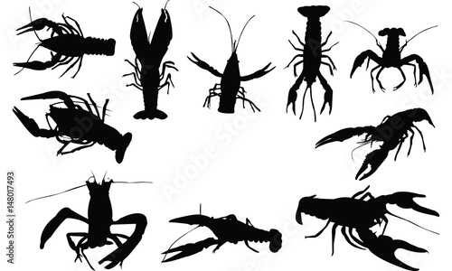 Crayfish Silhouette vector illustration