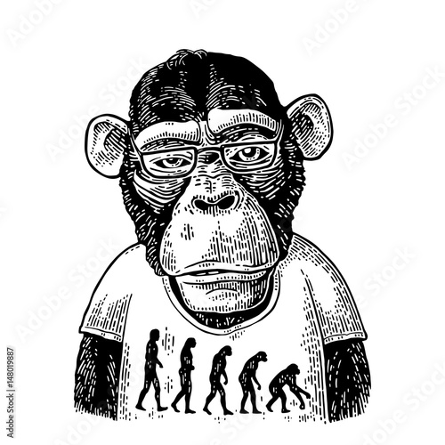 Monkeys in a T-shirt with the theory of evolution on the contrary.