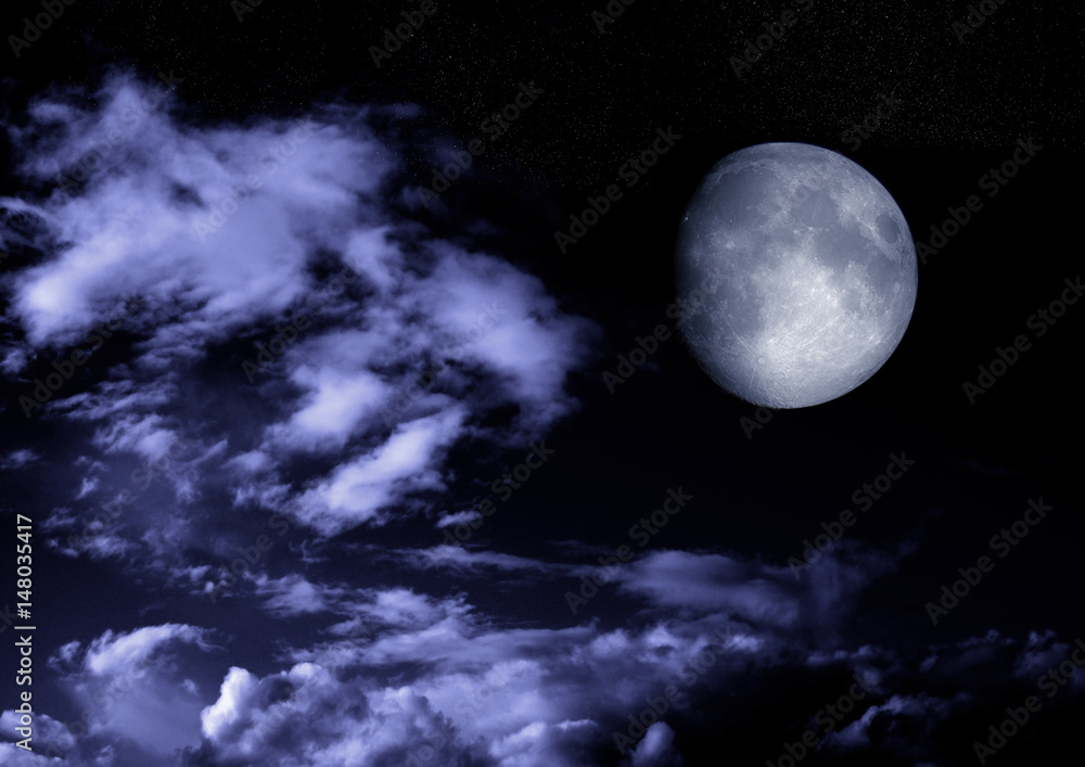 Fototapeta premium The moon in the night sky