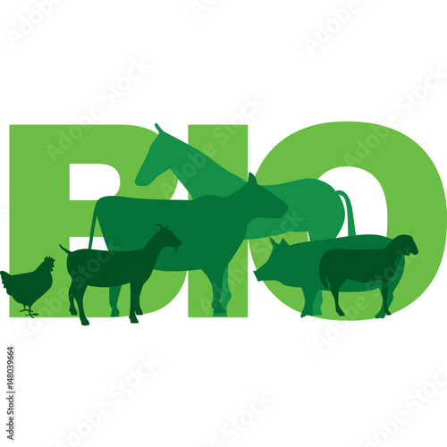animali salute