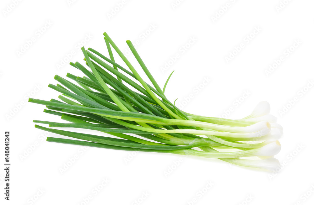 Green onion isolated on the white background Green onion isolated on the white background