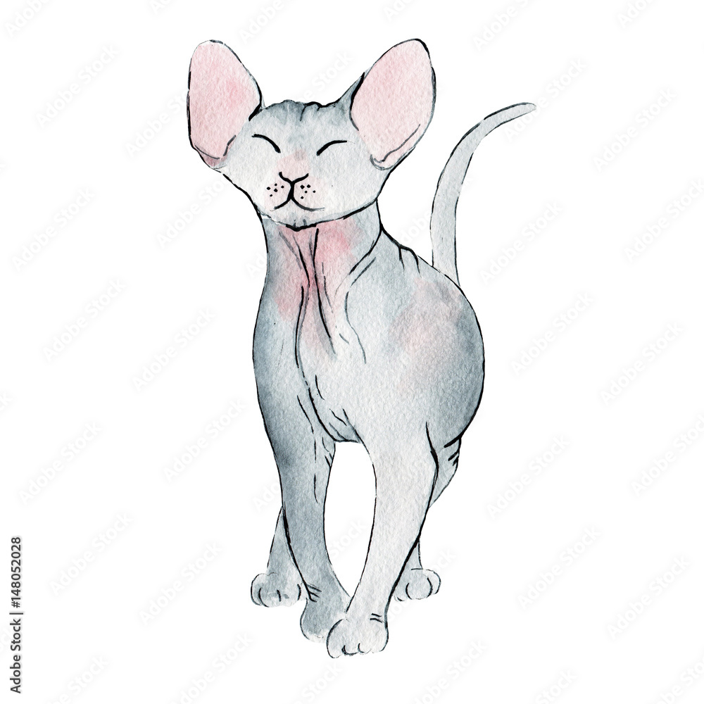 watercolor illustration of cat sphinx on white