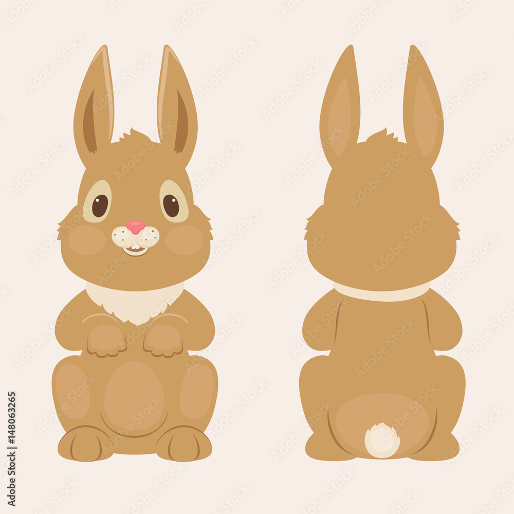 Naklejka premium Bunny/rabbit front and back view