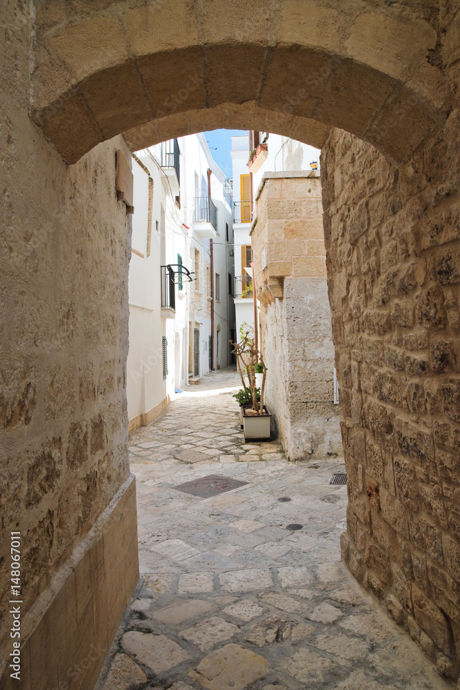 Fototapeta premium Alleyway. Polignano a mare. Puglia. Italy. 