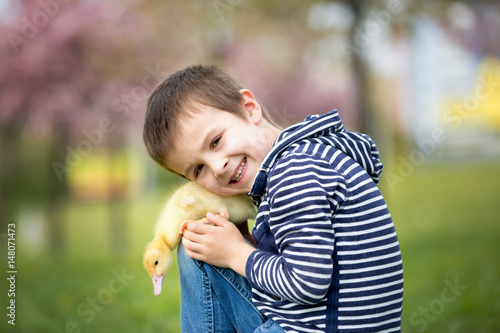 Cute sweet child, boy, playing in the park with ducklings