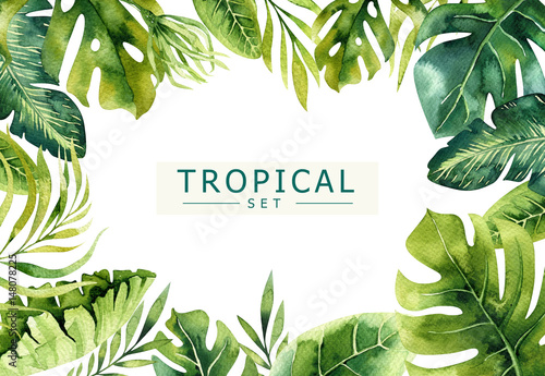 Fototapeta Ręcznie rysowane tła akwarela roślin tropikalnych. Egzotyczne liście palmowe, drzewo dżungli, elementy brazylijskiego tropiku borany. Idealny do projektowania tkanin. Sztuka Aloha.