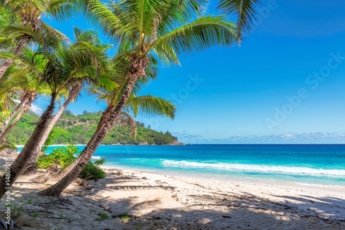 Fototapeta Naklejka Na Ścianę i Meble -  Tropical beach, paradise on Seychelles, island Mahe.