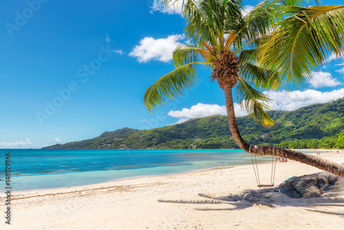 Famous Beau Vallon beach with coconut palm tree on Mahe island, Seychelles.