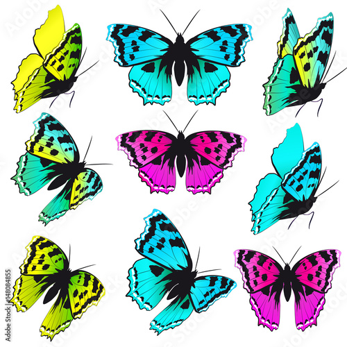 beautiful color butterflies set  isolated  on a white