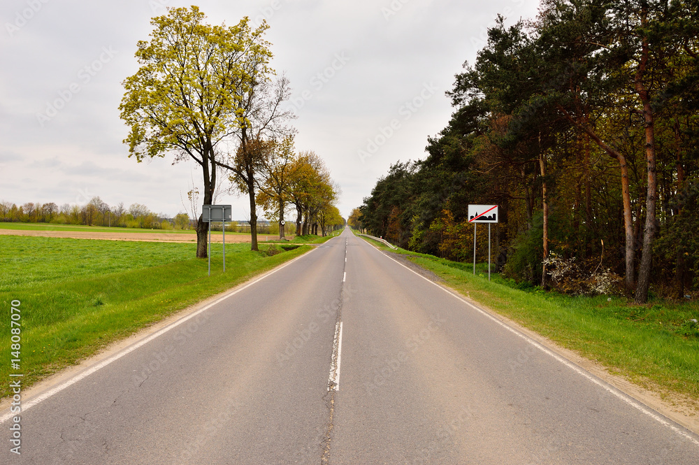 Fototapeta premium Droga asfaltowa wśród drzew.