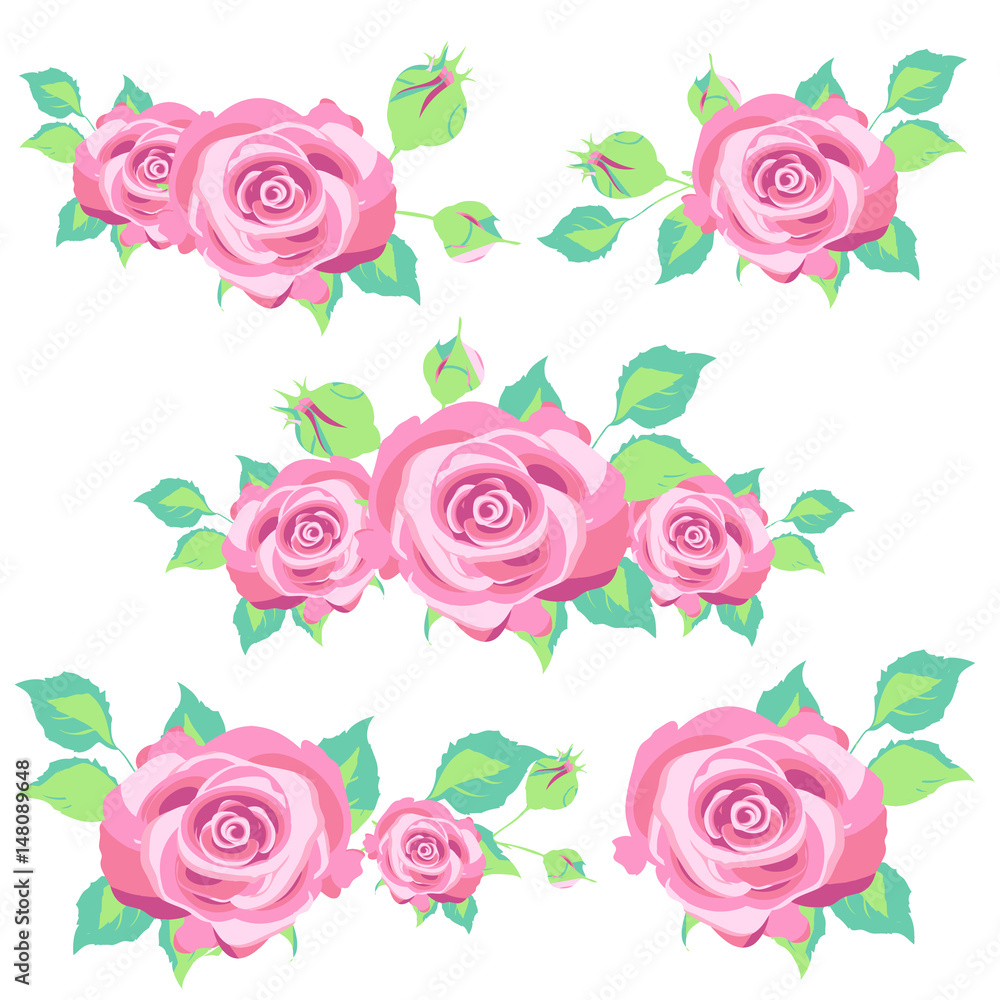 beautiful pink flowers ,roses, on a white