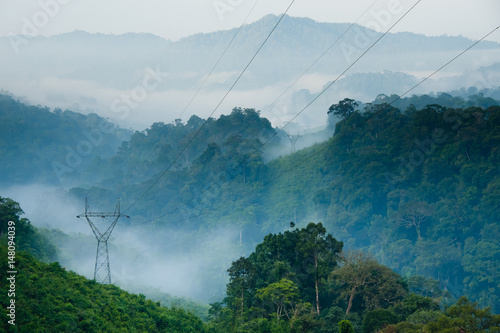 high voltage post in forest