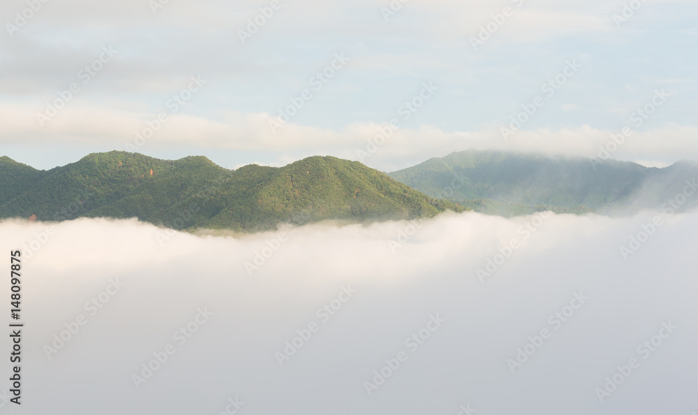 Sea of cloud on the mountain at morning