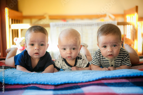 Bilde på lerret Portrait of newborn triplets are lying in the bed