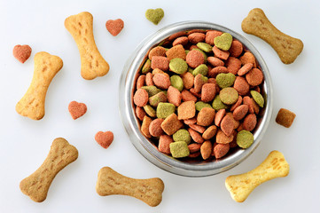 Dog food in the bowl and bone shaped biscuits