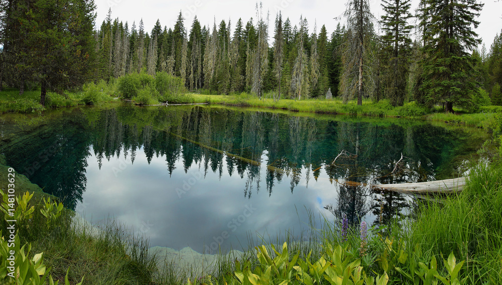 Little crater lake, Oregon Little crater lake, Oregon