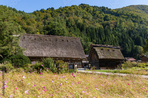 Traditional Japanese Historic Villages in Shirakawago