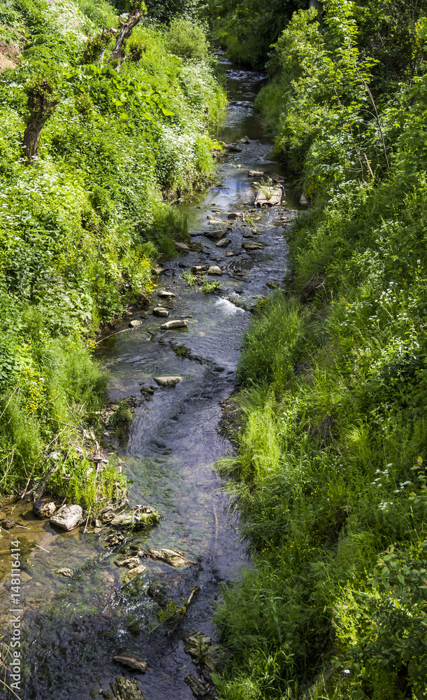 Naklejka premium small fast river