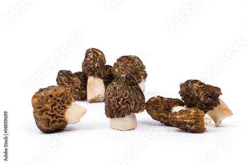 Spring mushrooms morel. Morels isolated on white background.