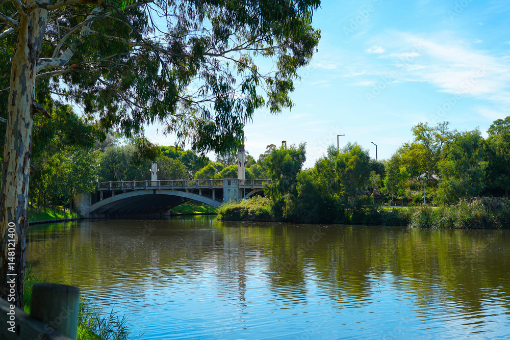 King William Road Bridge, Adelaide, South Australia. King William Road Bridge, Adelaide, South Australia.