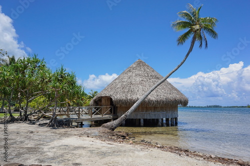 Typical construction Polynesian traditional housing Fare Potee on the shore of the lake Fauna Nui, Maeva, Huahine island, French Polynesia