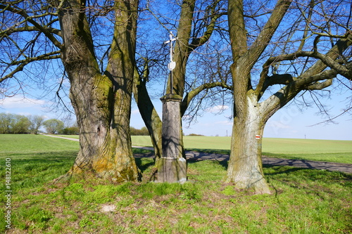 cross monument under big tree on a meadow