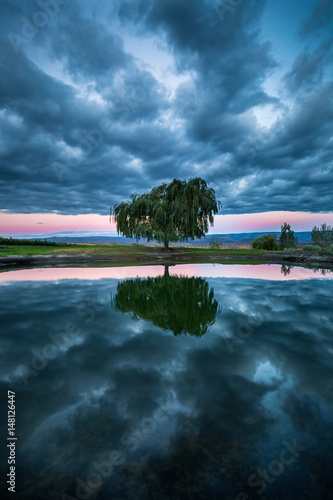 Single tree and stormy clouds reflected in lake