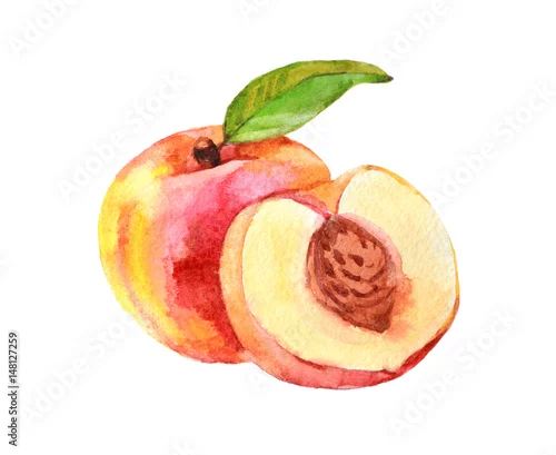 Naklejka na ścianę Brzoskwini owoc z liściem, akwareli ilustracja