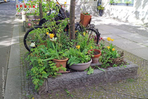 Schilderij op canvas Buntes Blumenbeet / Urban Gardening