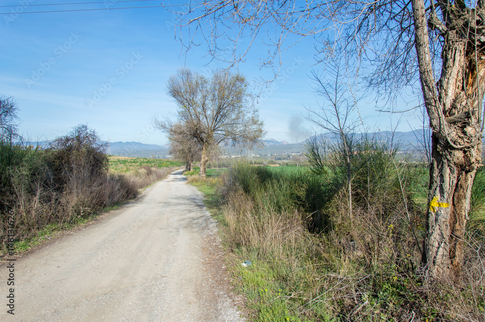 Hiking through idyllic landscape in Andalusia, Spain, during springtime