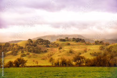 Fototapeta Naklejka Na Ścianę i Meble -  Fog Over the Golden Hills in California