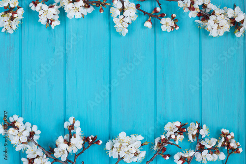 Apricot blossom branches on bright turquoise background, free space for advertisement or text