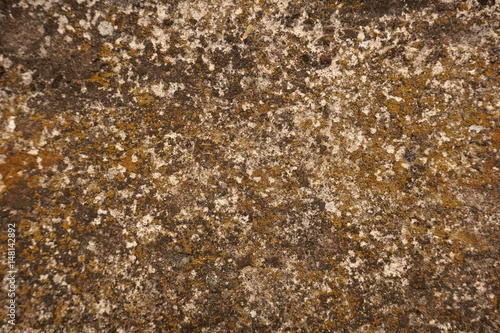 moss worn grainy concrete background