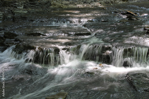 Creek - Onanda Park and Barnes Creek Gully - Canandaigua 17