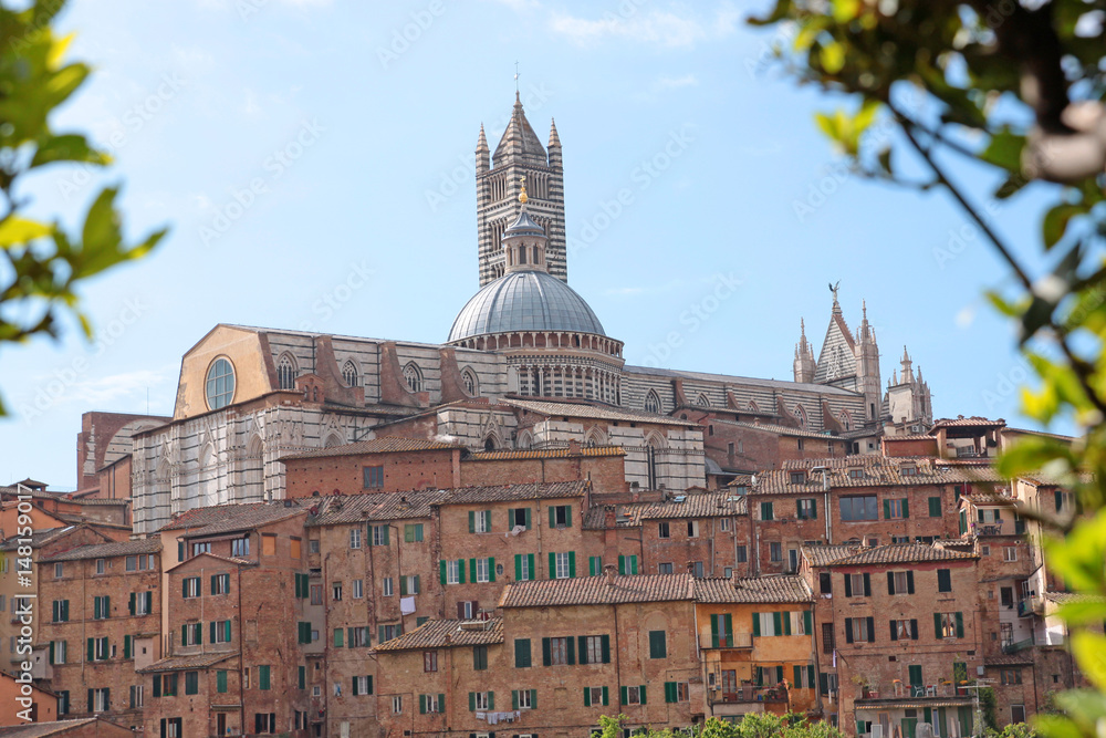 Fototapeta premium Beautiful view of the historic city of Siena. Tuscany, Italy 