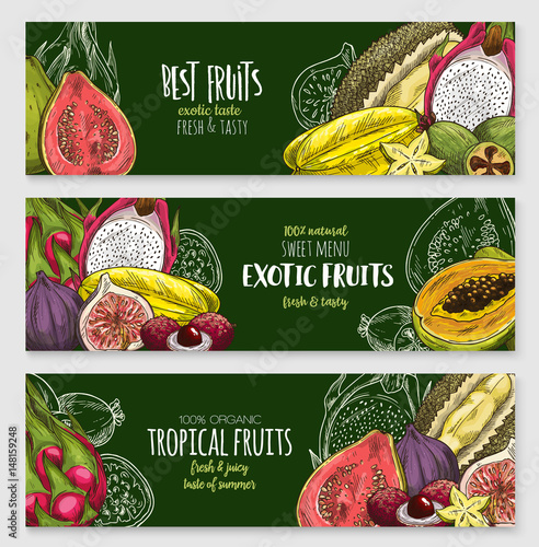 Exotic tropical fruit blackboard banner set