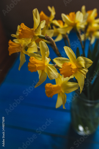 Fototapeta Naklejka Na Ścianę i Meble -  Yellow narcissus or daffodil flowers on blue wooden background. Selective focus. Place for text.