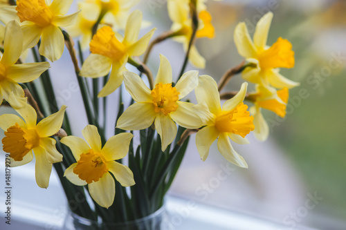 Spring easter background with daffodils in the bucket on the window .Yellow narcissus or daffodil flowers